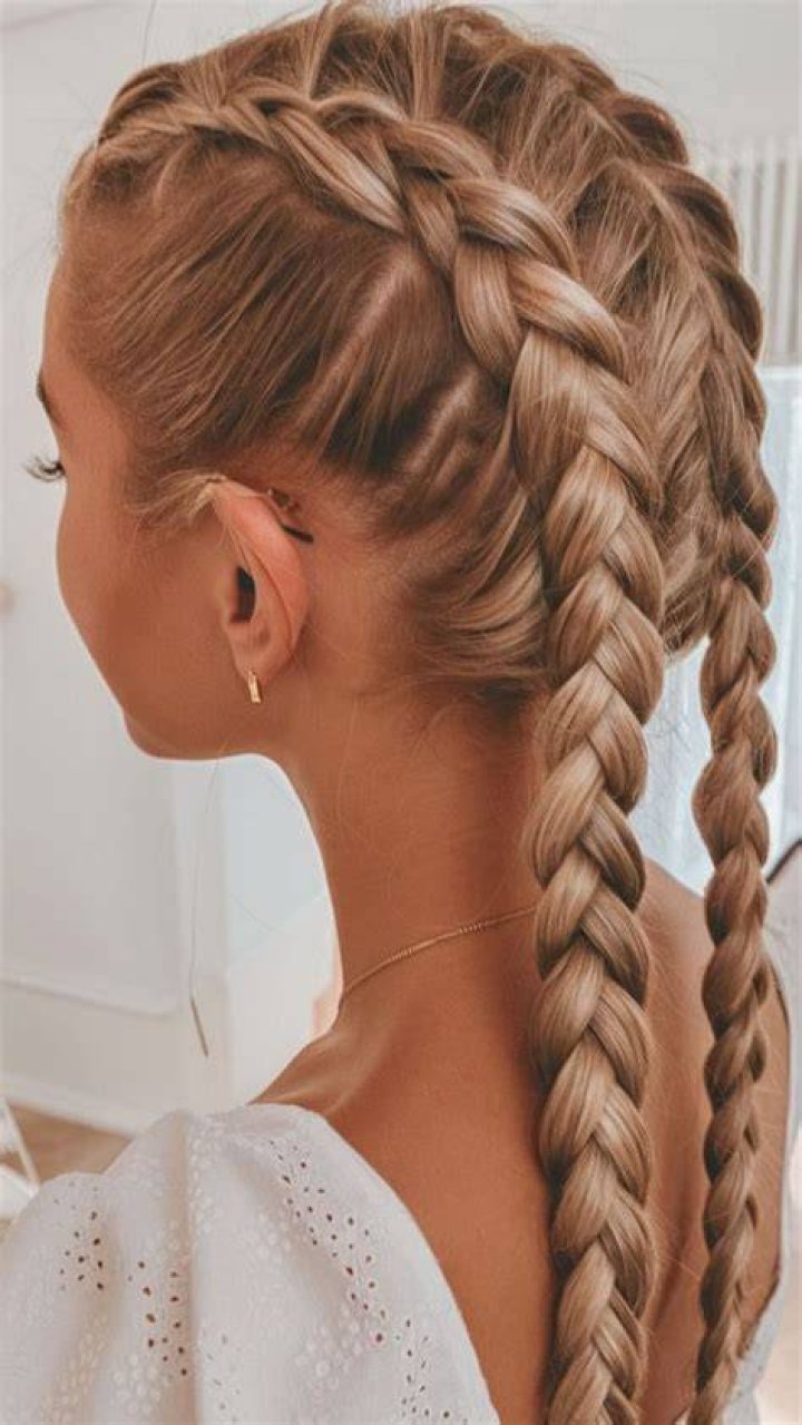 2018 Double Braids Long Hair French Braids HAIRSTYLES