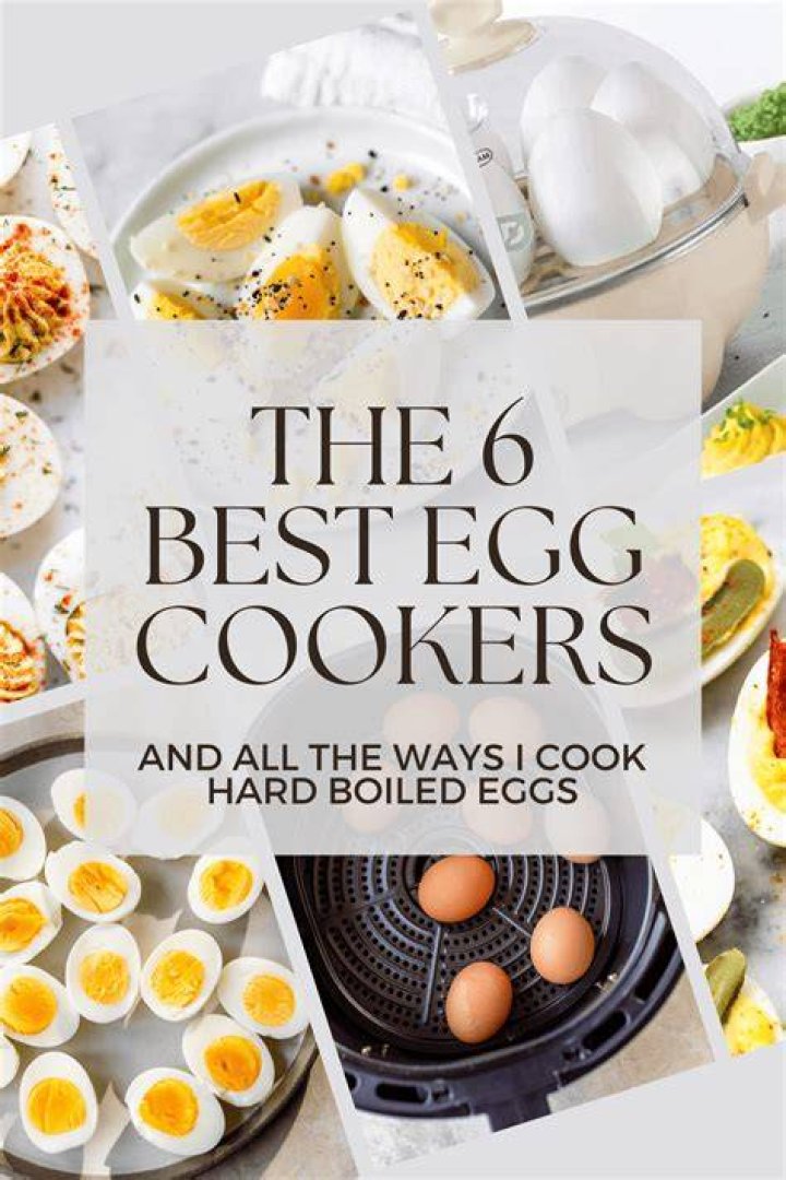 31 of the Best Egg Puns Reader's Digest