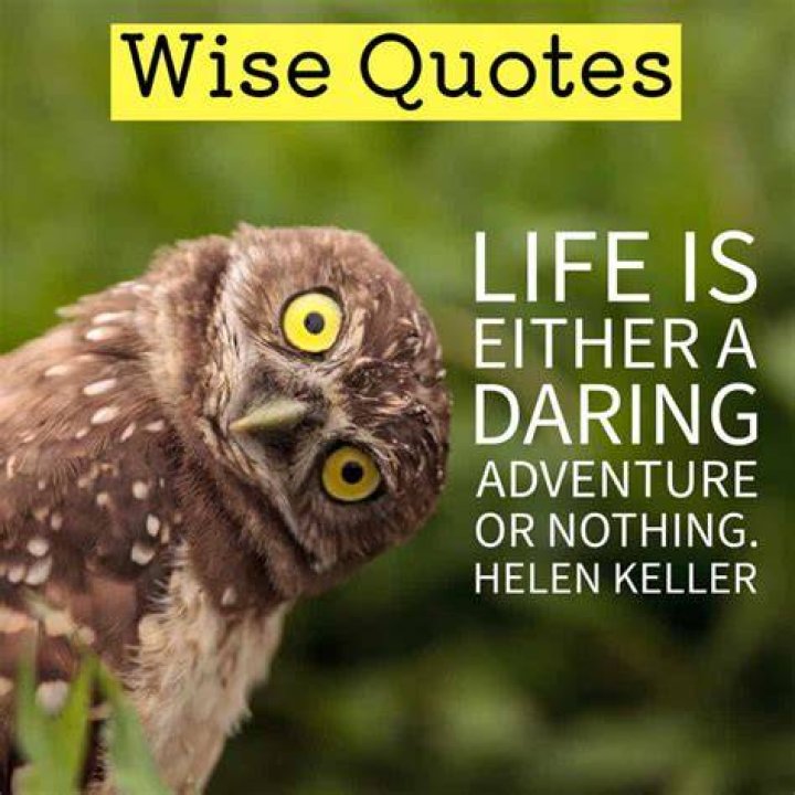 50 Wise Sayings and Quotes about Trust Inspirationfeed