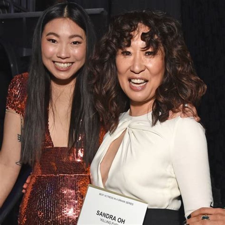 Awkwafina and Sandra Oh Star in Hilarious 'Quiz Lady' Trailer