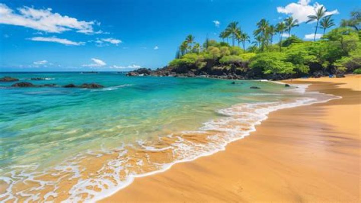 Beach Time, Beach Day, Hawaii Beach, Summer Beach, Summer Days, My Happy Place, Happy Places