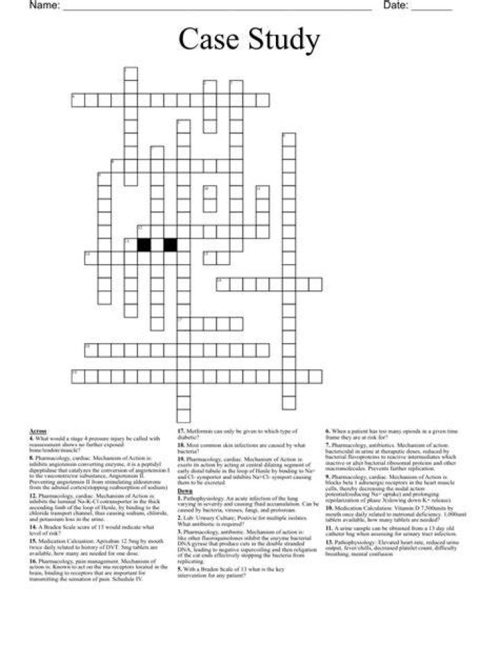 case Crossword WordMint