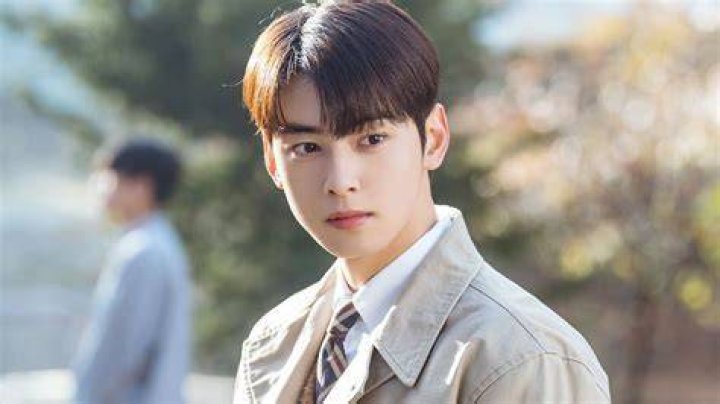 Cha Eun Woo Korean Dramas And TV Series