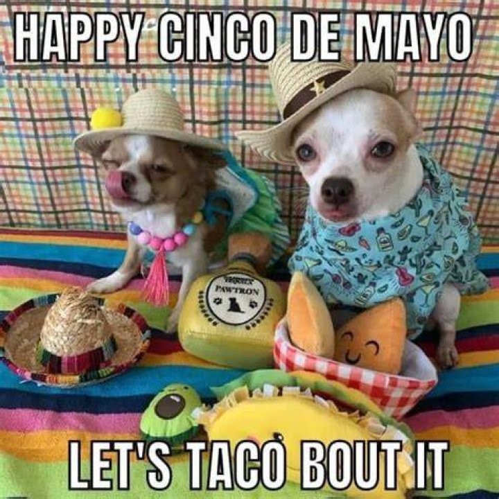 Cinco De Mayo Memes And Taco Dreams (22 pics)
