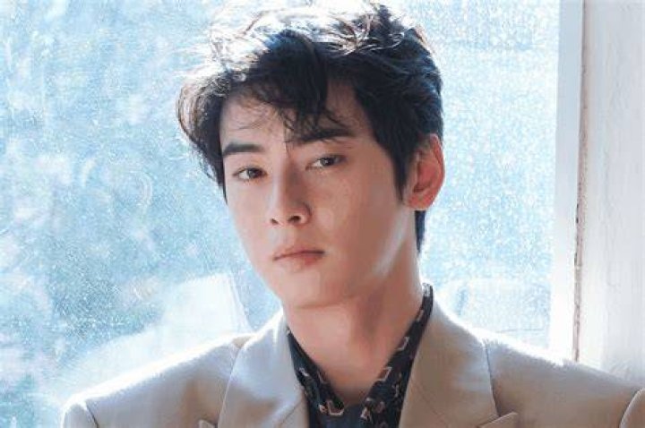 Does Cha Eun Woo Have A Wife Or Girlfriend?