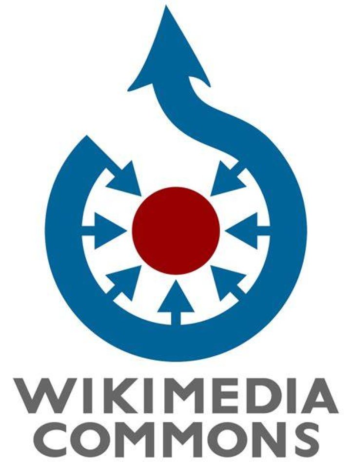 FileGeneration timeline.svg Wikimedia Commons