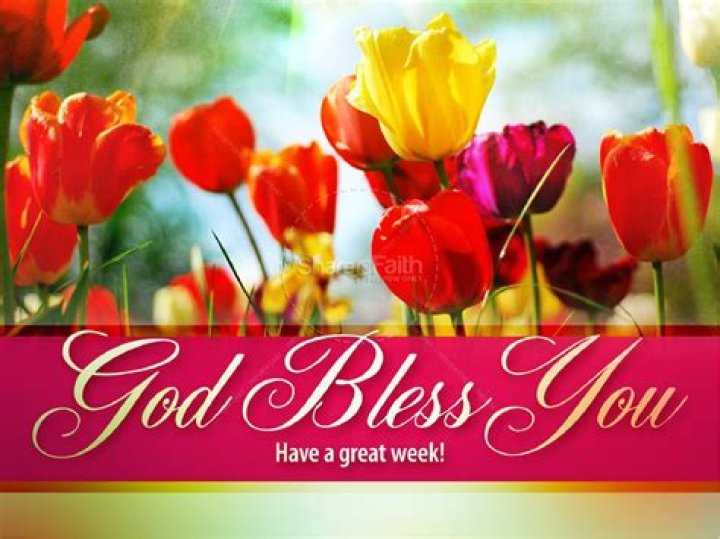 God Bless You Have A Blessed Sunday Pictures, Photos, and Images for Facebook, Tumblr, Pinterest