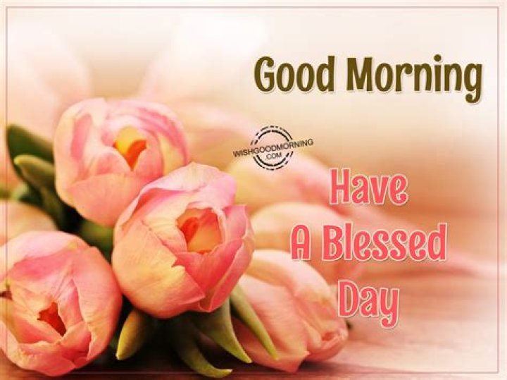 Good Morning, Have A Blessed Thursday Pictures, Photos, and Images for Facebook, Tumblr