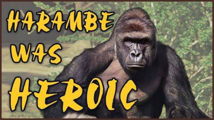 Harambe was Heroic RIP YouTube