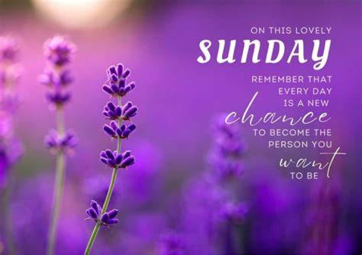 Inspiring Sunday Quotes: Wisdom For Your Weekend