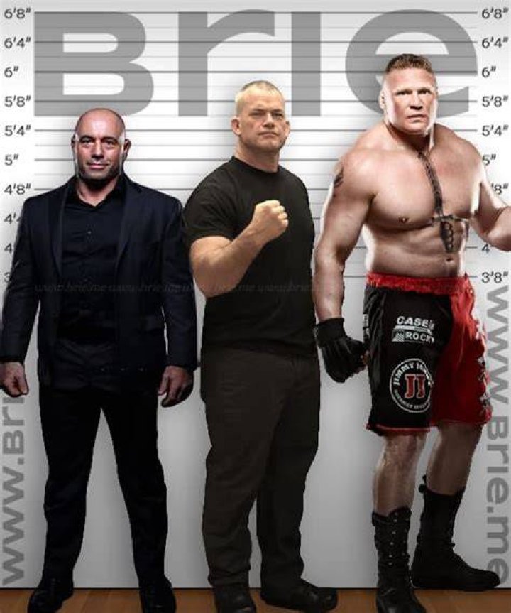 Jocko Willink Height Brie