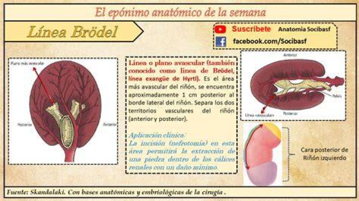 LUCÍA MORALES Espacio y linea