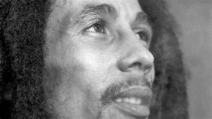 Remembering Bob Marley's Enduring Legacy Through His Children