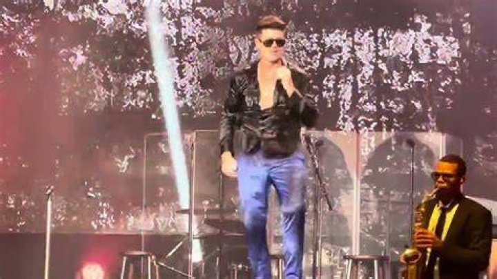 Robin Thicke's Net Worth Is Lower Than You Think