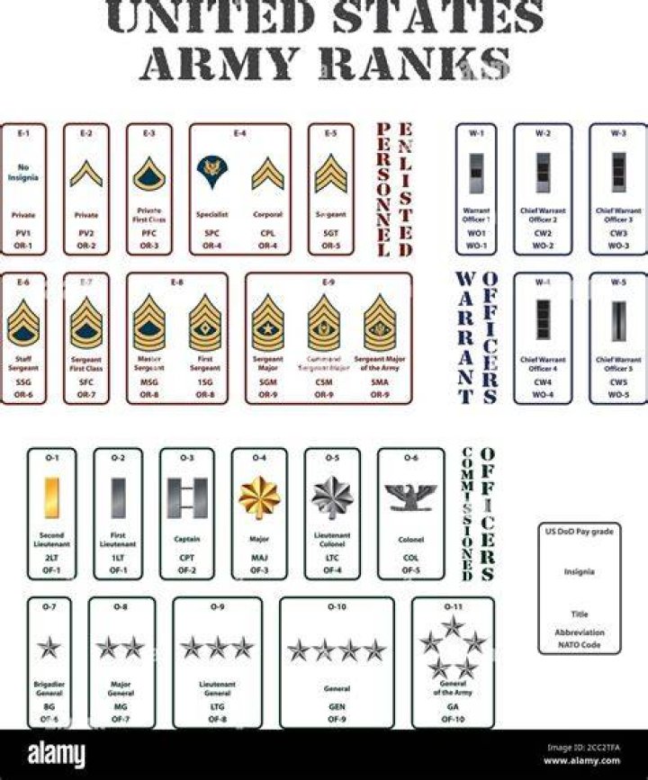 set of the ranks of the united states army Stock Vector Image & Art Alamy