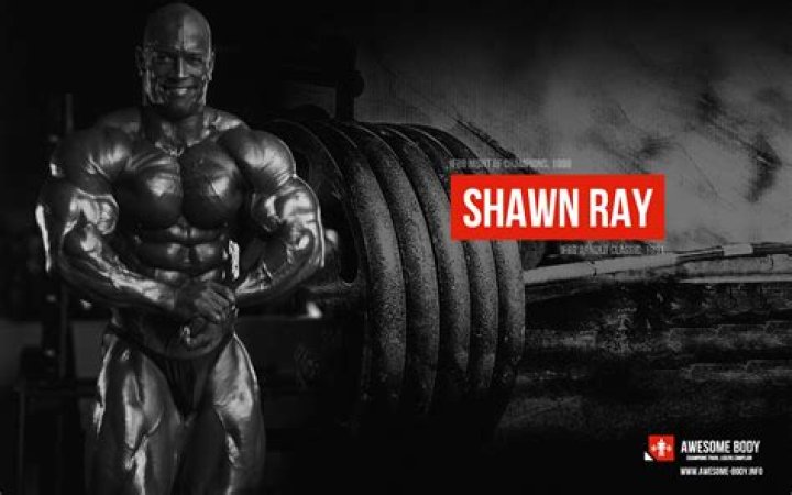 Shawn Ray WallpapersBody Builder body builder wallpapers