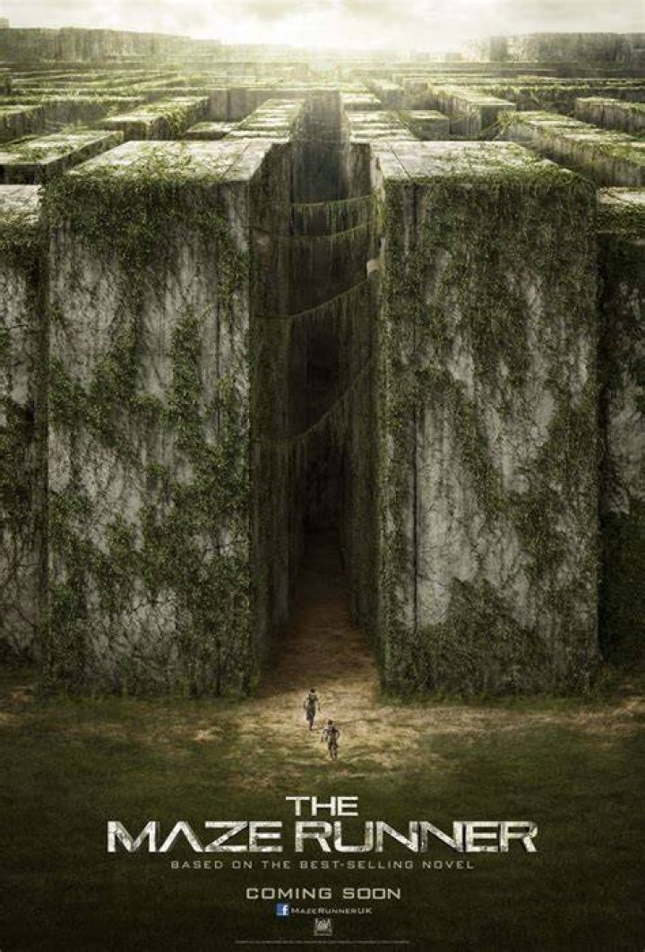 The Maze Runner (2014) Posters — The Movie Database (TMDB)