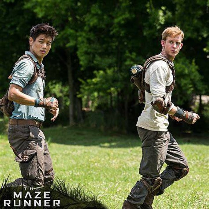 The Maze Runner wiki, synopsis, reviews Movies Rankings!