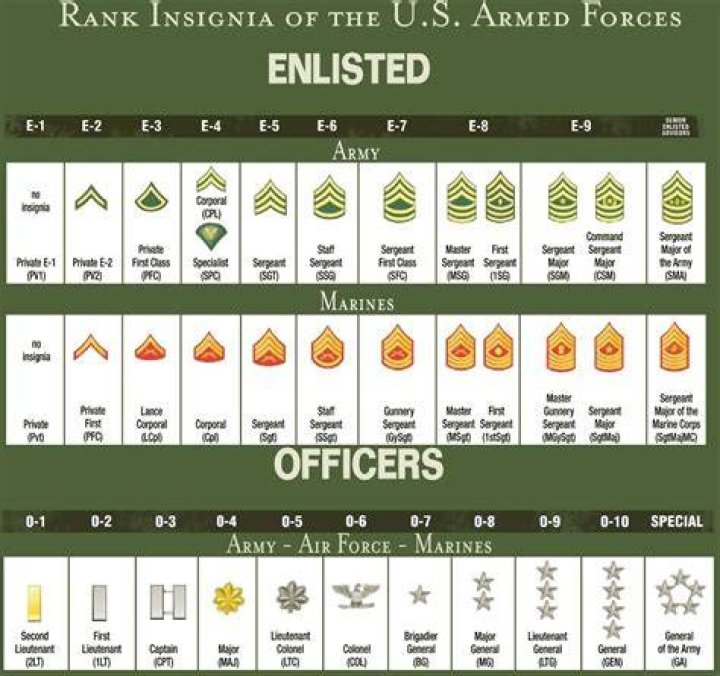 Understanding US Military Ranks Military Connection