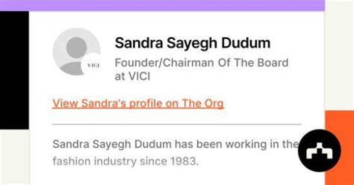 VICI Founder Sandra Sayegh Dudum Controversy Racism And Hate Comments