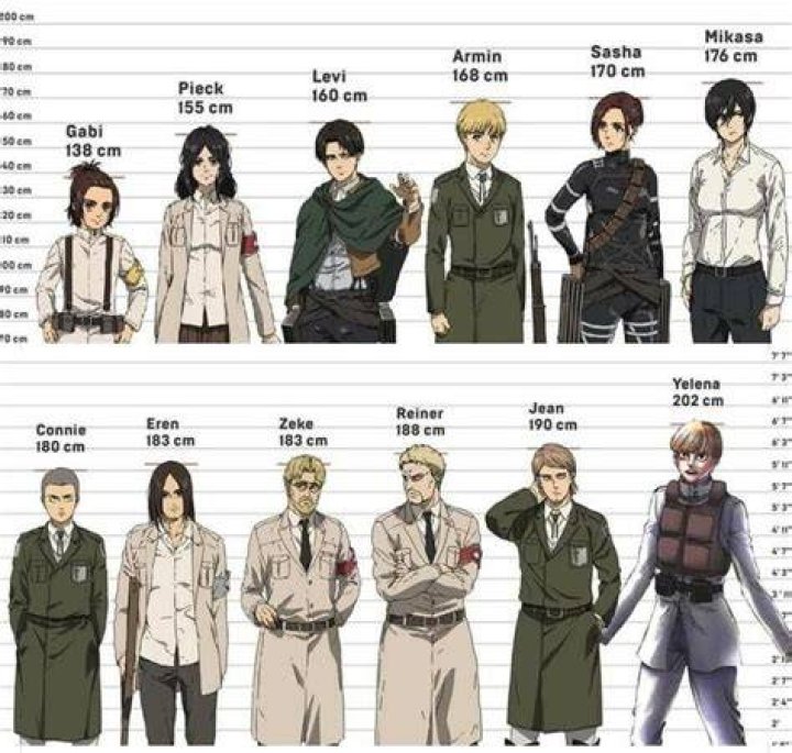What Is Levi Height?